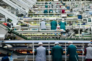 A group of workers in a factory