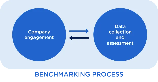 Benchmarking Process