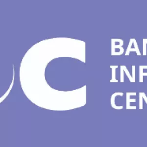 BIC logo