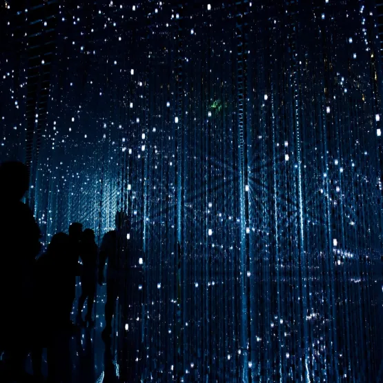 people-with-lights-scaled
