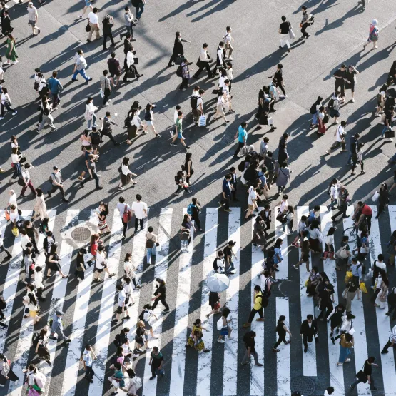 people_crossing_road_zebra_crossing